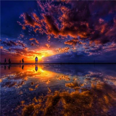 丰禾棋牌手机app下载截图